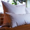 Paradise Three-Chamber Pillow 40 x 80 cm - 100 g