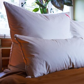 Paradise Three-Chamber Pillow 40 x 80 cm - 100 g + 440 g - Abbie Firm - Solid Down Pillow 40 x 80 cm with RDS Certified Goose Feathers and Down