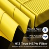 DBFIT AP-M1419 Pet Mode Genuine HEPA Washable Filter Replacement, H13