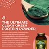 HEALTHFORCE SUPERFOODS Elite Green Protein - 500 g Powder