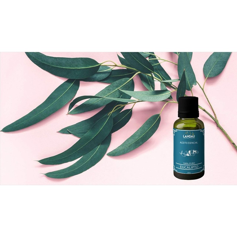 ACEITE ESENCIAL PURO DE EUCALIPTO 30ML