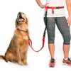 The Buddy System Made in USA, Lunge Buster, Shock Absorber