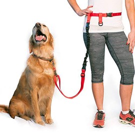 The Buddy System Made in USA, Lunge Buster, Shock Absorber Dog Leash