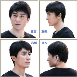 ALVEIN Full Wig, Wig, Wig, Men's, Men's Clothing, Short, Short, Short Hair, Natural, With Net, Hidden Gray Hair, Commuting, Casual, Business, Breathable (Black)