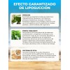 X2 Beinshape Espirulina En Cápsulas - Suplemento Natural