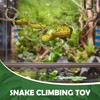 Coldairsoap Snake Enrichment Rings Climbing Toys(Symmetry)