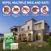 Mouse Repellent Pouches,30 Pack Peppermint Oil Rodent Repellent for Car