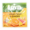 Loyd Ginger & Citrus Fruit Pyramid Tea Infusion - 20