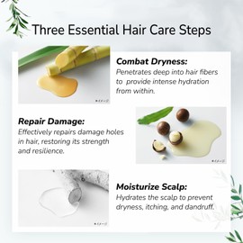 BOTANIST 2pk Japanese Organic & Natural Hair Shampoo for Greasy Scalp with Pump for Women & Men for Scalp Cleanse/Nourishing Scalp, Sulfate & Silicone Free, Lime & Leaf Green 460 mL/16.2 fl Oz