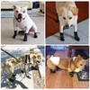 Calcetines Antideslizantes para Perros con Protectores de Patas,Calcetines Antideslizantes de