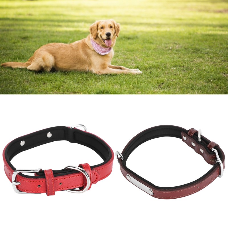 2pcs Pet Collar with Engraved Nameplate ID Tag Cowhide Padded