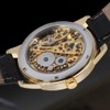Dentily Classic Mechanical Hand-Wind Watch Men's Skeleton Watch Leather Strap