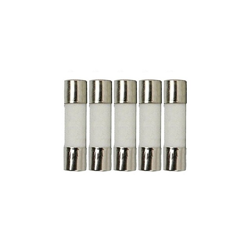 5 Qty. 5x20mm 15A Slow-Blow Ceramic Fuse T15a 250v