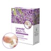 로이스에이 Essence Nature Foot Patch - Korean Health Essence Lavender