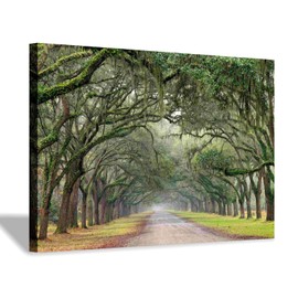 Green Forest Landscape Wall Art: Nature Canvas Oak Tree Lined Road of Savannah Artwork Picture Large Painting for Home Wall Decor (45'' x 30'' x 1 Panel)