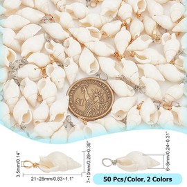PH PandaHall Pack of 100 2 Colours Natural Spiral Shell Pendants Natural Shell Charms Shell Jewellery Charms for Jewellery Making Charm Home Decoration Summer Ocean Beach Party, Shell