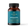 Vita Bloom Labs Akkermansia Probiotic Supplement - Promotes Digestive Comfort,