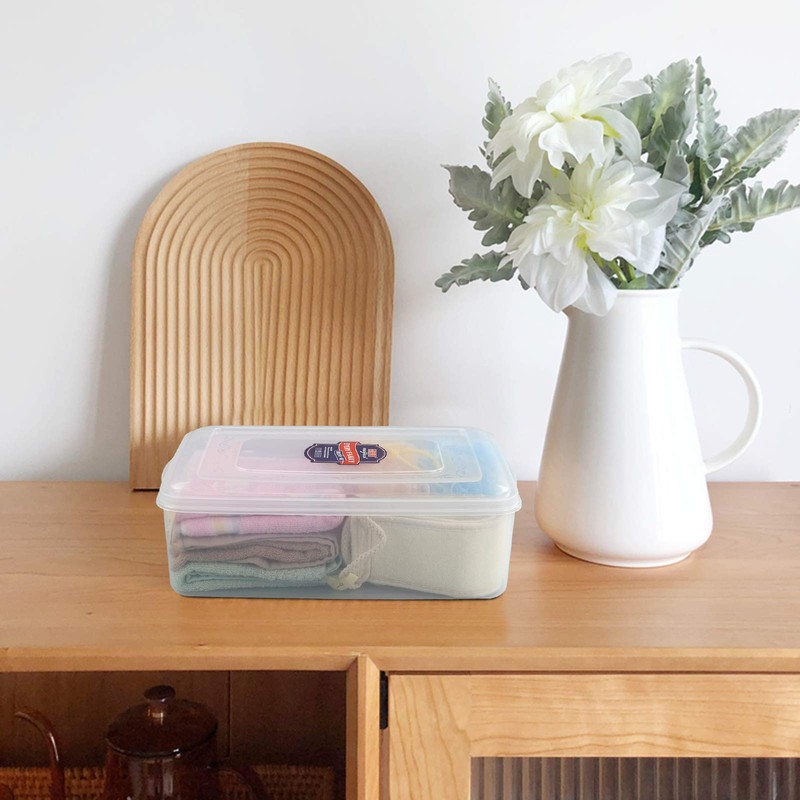 Ucake Clear Plastic Storage Bin with Lid, 2 Packs