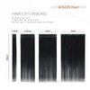 Aison Jet Black Clip in Hair Extensions Real Human Hair