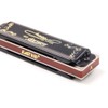 Diatonic Blues Harmonica 10 Holes Blues Harmonica 20 tones black