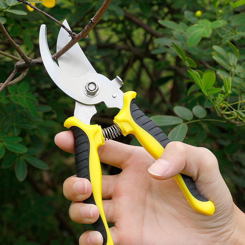 Secateurs-Professional-Scissors Garden Shears - Secateurs & Pruning Scissors of Garden