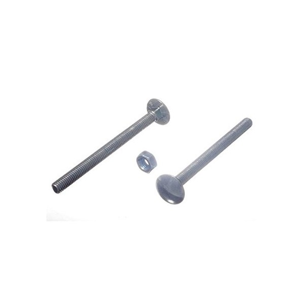 24 Cup of Square Coach Bolt M6 6 mm 75