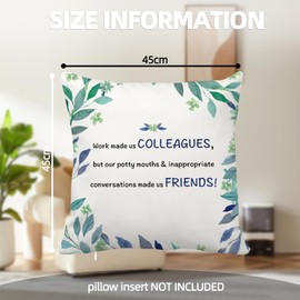 Secret Santa Gifts for Work Colleagues,Leaving Gifts for Colleagues Women,Gifts for Work Colleagues,Work Bestie Gifts,Cushion Covers,Work Colleague Gifts for Women,Colleagues Gifts,Funny Office Gifts