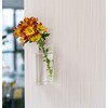 Kingbuy Plant Terrarium Container Propagation Station Square Tube Vase Wall