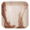CaterEco Square Palm Leaf 7" Salad Plates, 25 Pack