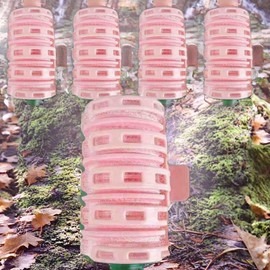 Moneyful Hair Color Hair Serum Dyeing Container Macaron Air Bang Clamp Type Hair Roll 5 Pieces Pink / 머니풀 헤어컬러 헤어세럼 염색용기 마카롱 에어뱅 집게형 헤어롤 5개 핑크