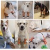 HDKUW Dog Elbow Protector, Dog Front Leg Recovery Sleeve for