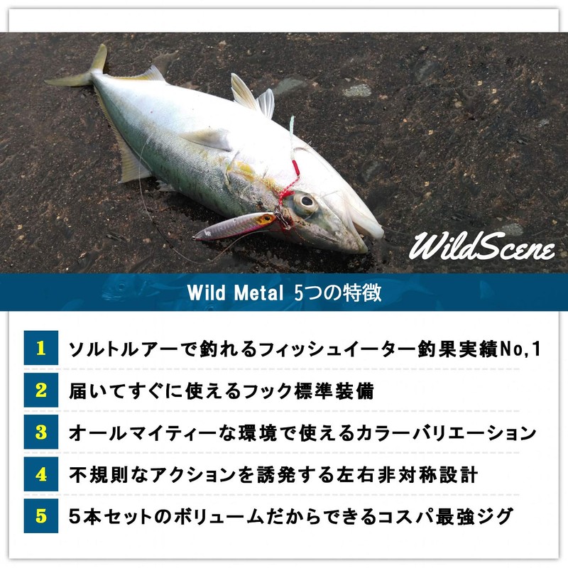 Wild Scene Metal Jigs, Throw Jigs, Set of 5, Assist