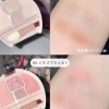 Plum Puku 플럼푸쿠 코디 아이즈 애교살 이치고 만들기 04 섀도우
