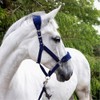 John Whitaker Unisex Club Headcollar and Lead Rope Set Navy