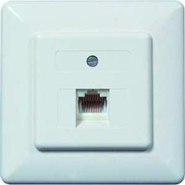 Protec. Net Puae Anschl. Up 2x RJ45 8/8 (8) RW Zentralpl.