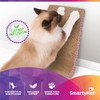 SmartyKat Scratch Ladder, Angled Corrugated Cat Scratcher for Cats &