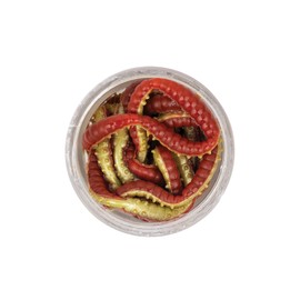 Berkley PowerBait Power Honey Worm - Fishing Bait (2.5Cm Redyellw)