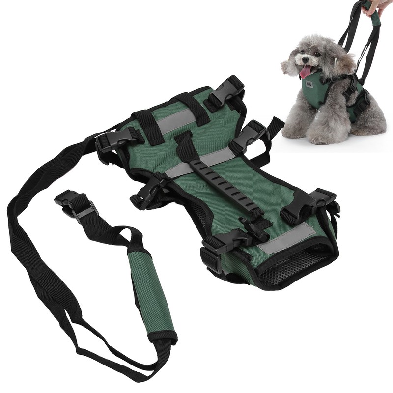 Cat Vest Harnesses Leash Adjustable Breathable Stylish Multifunctional Pet Walking