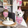 Birthday Hat Scarf Set for Small Dogs and Cats, Bandana