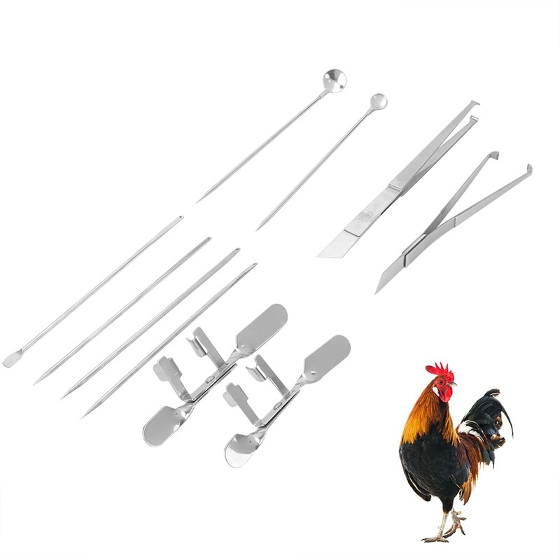 10pcs Stainless Steel Farm Livestock Breeding Chicken Hen Rooster Capon