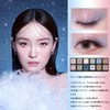 PERFECT DIARY Eye Shadow Palette (Wolf)