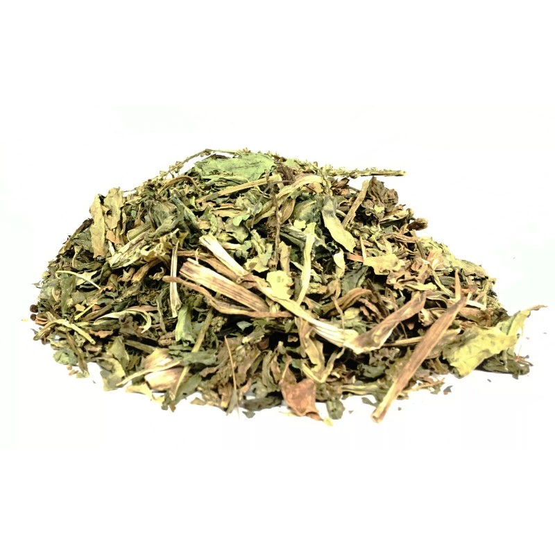Nuestra Salud Llanten Te- Plantain Tea Herbal (90g) Herb VALUE