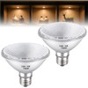 PAR30 Short Neck Halogen Flood Light Bulbs, 2 Pack 120V