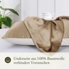 LILYSILK 19 Momme Silk Pillowcase Mulberry Silk Plain Cotton with