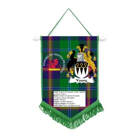 Young Scottish Clan Scotland Car/Wall Pennant With Green Border Great Souvenir