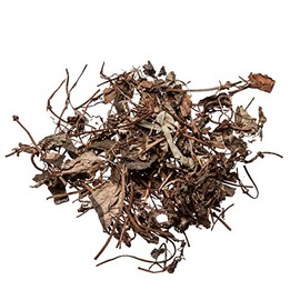 Plum Dragon Herbs Jin Qian Cao Chinese Herb | Lysimachia Herb | Desmodii Styracifolii Herba - Bulk Chinese Herb, 1 Oz
