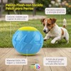 Fancy Pets Pelota Flash con Sonido Fetch para Perros, Tamaño