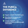 PURICA Purica - Immune 7 Powerful Immune Support Supplement 30