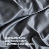 Cosmoluxe Matte Satin Silky Queen Comforter Set Dark Grey, 3