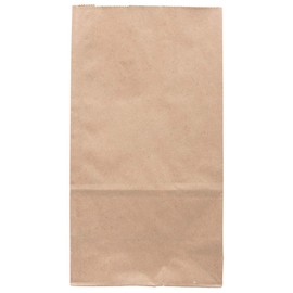 JAM PAPER 100% Recycled Snack/Lunch Bags - Large (6 x 11 x 3 3/4) - Brown Kraft Grocery Bags - 25/Pack
